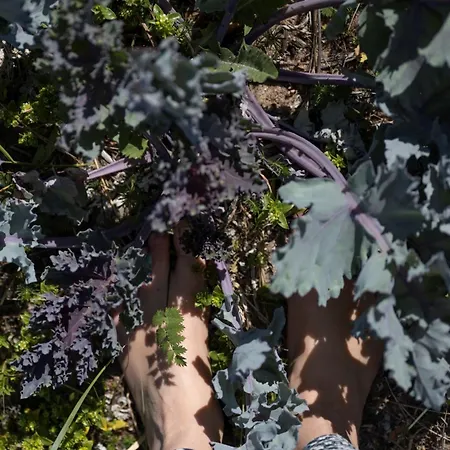 Pensión Hobekala 3*