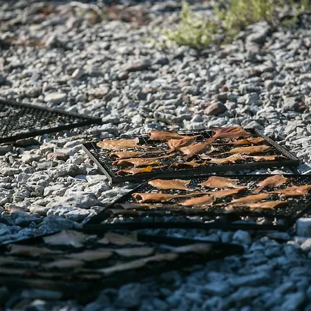 Hobekala Pensión Kalana