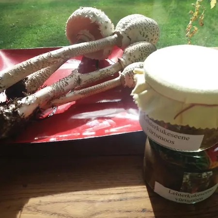 Pensión Hobekala Kalana