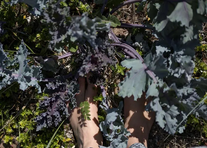 Gasthuis Hobekala 3*