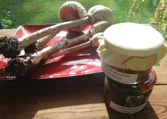 Gasthuis Hobekala Kalana